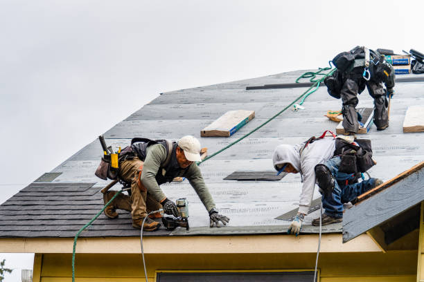 Professional Gutter Installation technician working in Phelps, NY